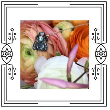 Load image into Gallery viewer, BLUE BUG (PRE-ORDER)
