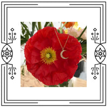 Load image into Gallery viewer, CRESCENT MOON DIAMOND NECKLACE (PRE-ORDER)

