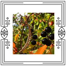 Load image into Gallery viewer, MOON SLICE NECKLACE ~ MOONSTONE (Pre-order)
