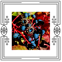 Load image into Gallery viewer, SUNBURST EARRINGS (PRE-ORDER)
